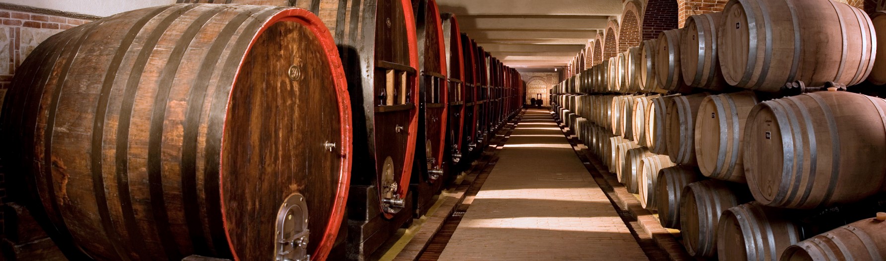 Vinification Et Caves