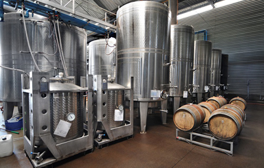 Vinification